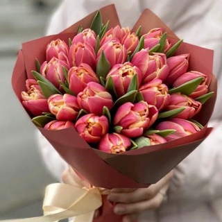 Telegram profile photo for Тюльпаны НН 🌷