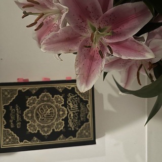 Telegram profile photo for بَصَائِرْ اَلْهُدَىٰٖٓ