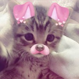 Telegram profile photo for FORMAT SHERYL!