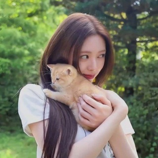 Telegram profile photo for moraine | kpop templates & info