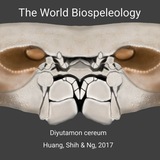 Telegram profile photo for The World Biospeleology