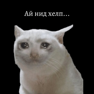 Telegram profile photo for Студенческие инсайды