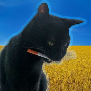 Telegram profile photo for як маринувати? огірки | #УкрТґ