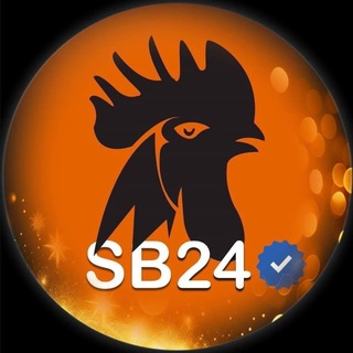 Telegram group profile photo for SB24-PH1