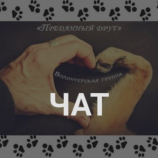 Telegram group profile photo for Пред@нный Друг ЧАТ