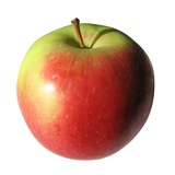 Telegram profile photo for Frihedslistens INFO KANAL