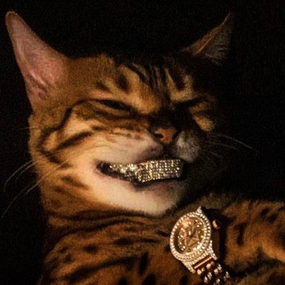 Telegram group profile photo for взᴀимныᴇ подписки 🔥 пиᴀᴘ чᴀт