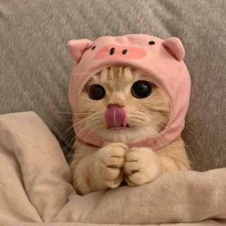 Telegram profile photo for у котика не боли☔️