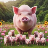 Telegram profile photo for СВИНЬИ КФ