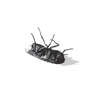 Telegram profile photo for Clartyagain