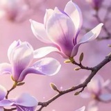 Telegram profile photo for 【素材套图人设包装】78.com 冠名