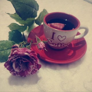Telegram profile photo for خـواطـر وأنـاشـيّـد 🌿