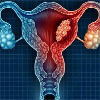Telegram profile photo for Gynecology Dr, Nadine