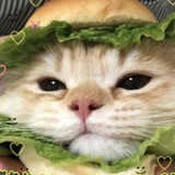 Telegram profile photo for TgLoks