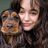Telegram profile photo for Жасмин | английский кокер спаниель