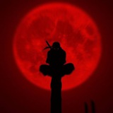 Telegram profile photo for Japanese
