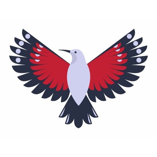 Telegram profile photo for Birdtours