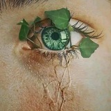 Telegram profile photo for رونـــــــــق الكلمــــــات