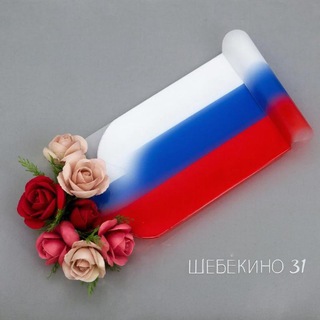 Telegram profile photo for Шо по шебекино🇷🇺