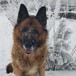 Telegram profile photo for Корефан