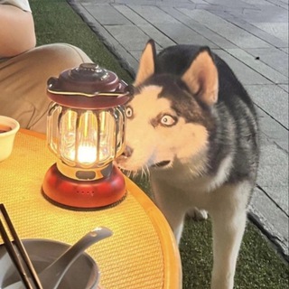 Telegram profile photo for биполярка на связи