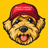 Telegram profile photo for Patton