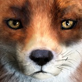 Telegram profile photo for DHOT