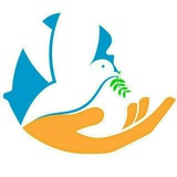 Telegram profile photo for Tikvah- university