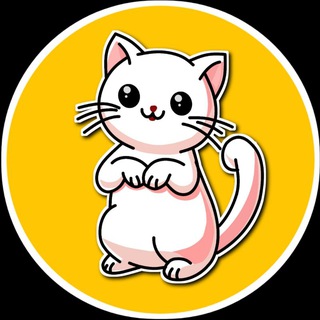 Telegram group profile photo for Woody Discussion