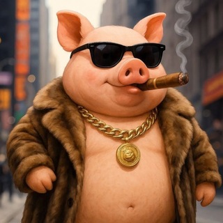 Telegram profile photo for adapter LSP cf