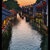 Telegram profile photo for 茉莉花官方认证