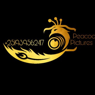 Telegram profile photo for Peacock_pictures📸🎥