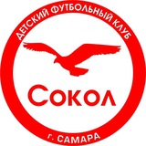 Telegram profile photo for Детский футбольный клуб «Сокол» Самара