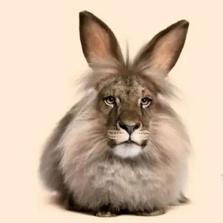Telegram profile photo for Супер черемша