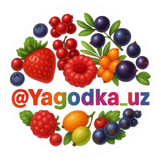 Telegram profile photo for ЯГОДКА-ТАШКЕНТ🫐🍓