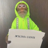 Telegram profile photo for Сериал "Жизнь Сани"