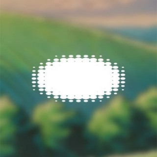 Telegram profile photo for perp.fun