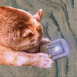 Telegram profile photo for лоботомия онлайн