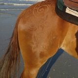 Telegram profile photo for ️