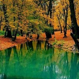 Telegram profile photo for گلستان شعرو ادب