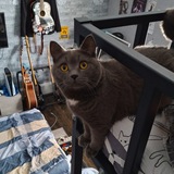 Telegram profile photo for Забайченный небом