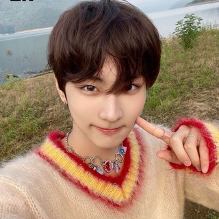 Telegram profile photo for сад овечка | EN IS 7