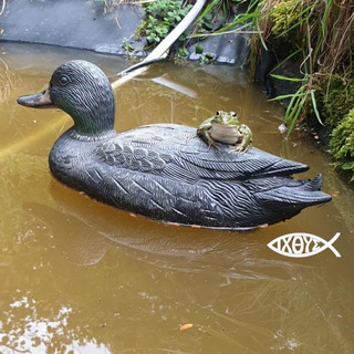 Telegram profile photo for 🦚✝️🇫🇷Petits pieds⚔️dans l'herbe🇫🇷✝️🦚