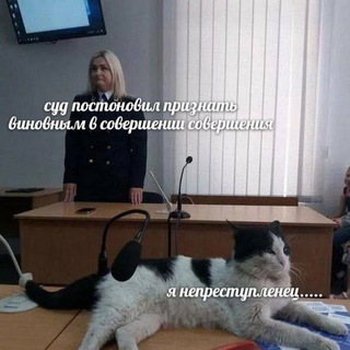 Telegram profile photo for Я непреступленец: любимый паблик твоей мамы