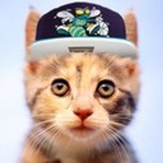 Telegram profile photo for Карандаш official