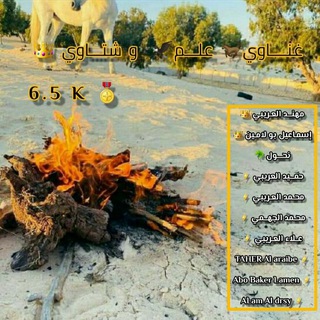 Telegram profile photo for غناوي علم و شتاوي