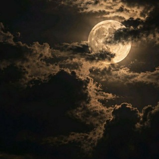 Telegram profile photo for هِپار ؛