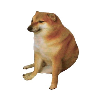 Telegram profile photo for не влезло в чемодан