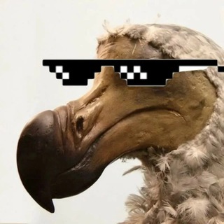 Telegram profile photo for Анекдодо Confession