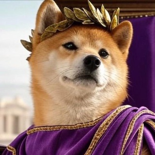 Telegram profile photo for Dogius Maximus Portal